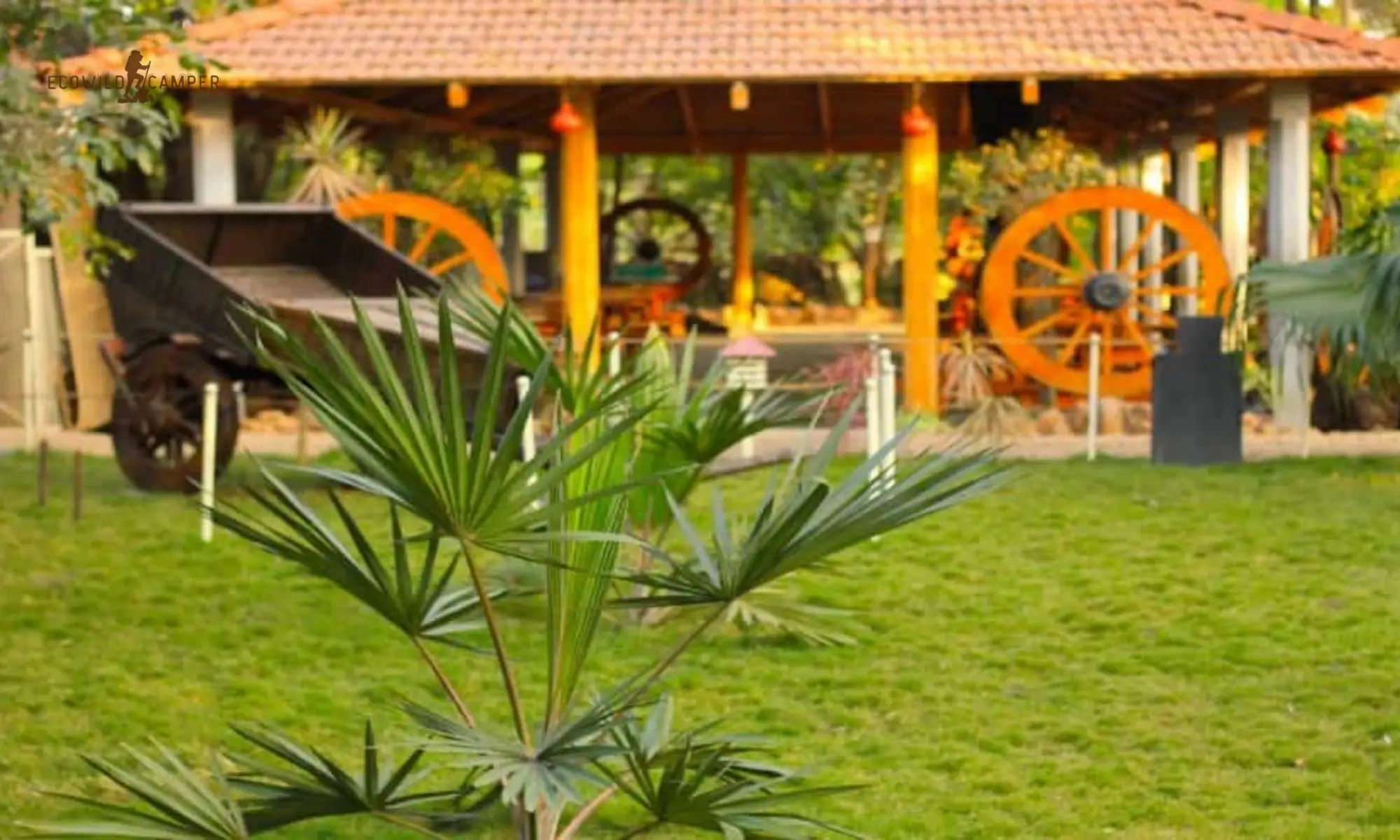 Top 10 Adventure Resorts in Bangalore for Thrilling Weekend